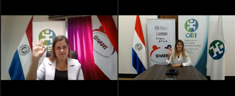 Oei Paraguay Noticias Se Llevó A Cabo El Webinarpresentación De Diagnóstico Situacional 9970